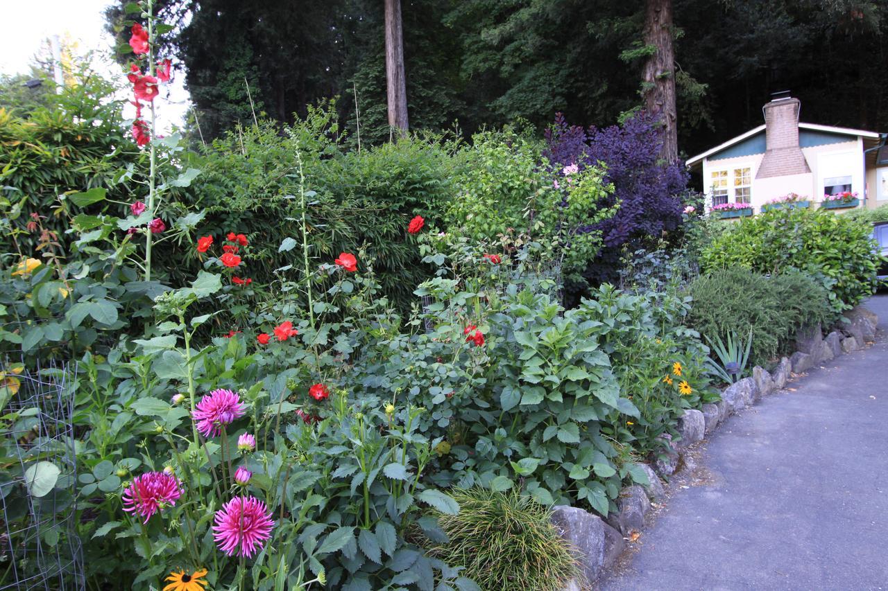 Fern Grove Cottages Guerneville Extérieur photo