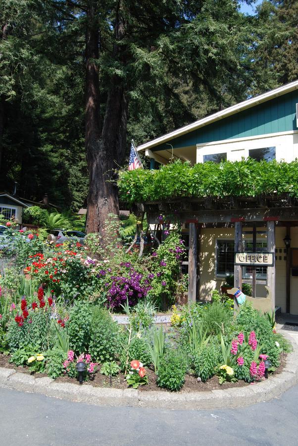 Fern Grove Cottages Guerneville Extérieur photo
