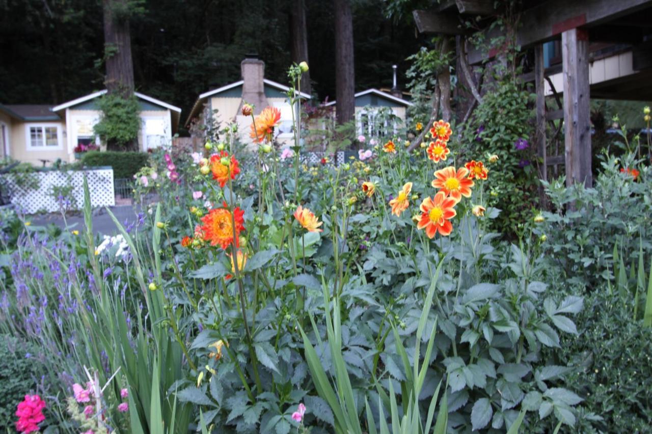 Fern Grove Cottages Guerneville Extérieur photo